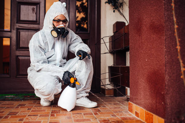 Attic and Crawl Space Rodent Treatment in Estell Manor
