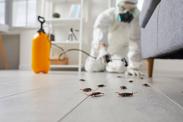 Commercial Rodent Management in Estell Manor